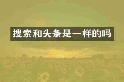 搜索和头条是一样的吗