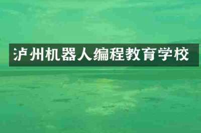 泸州机器人编程教育学校