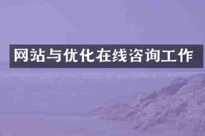 网站与优化在线咨询工作