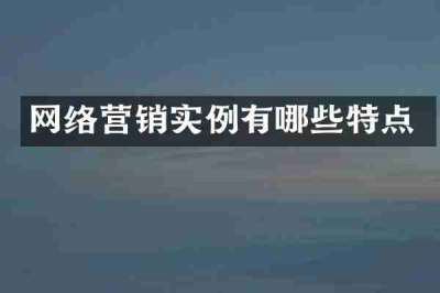 网络营销实例有哪些特点