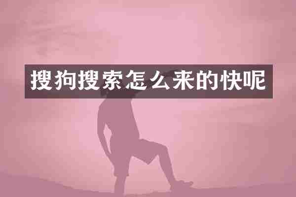 搜狗搜索怎么来的快呢