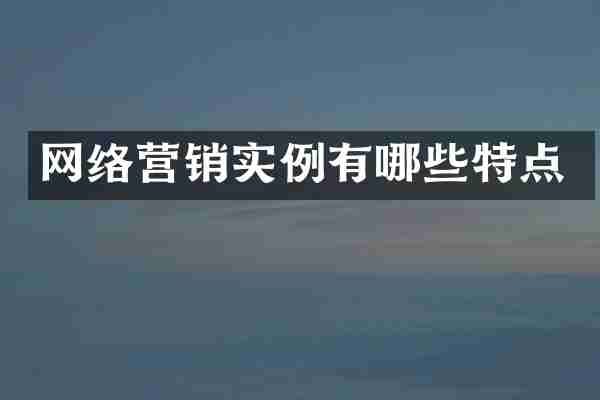 网络营销实例有哪些特点