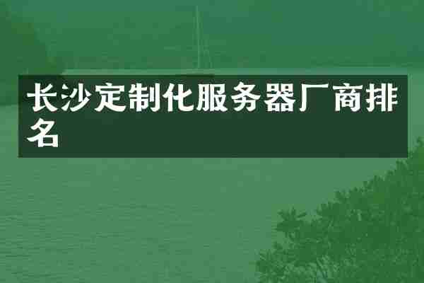 长沙定制化服务器厂商排名
