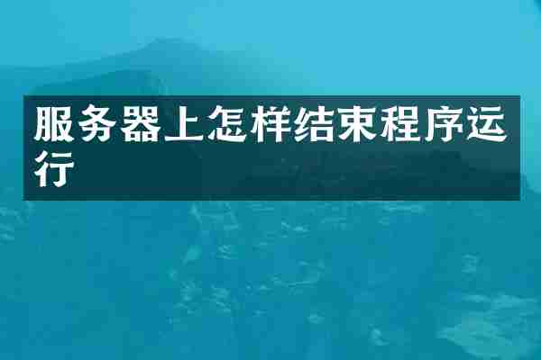 服务器上怎样结束程序运行