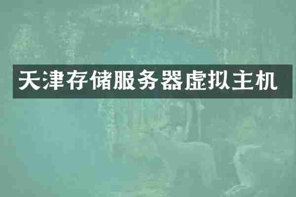 天津存储服务器虚拟主机