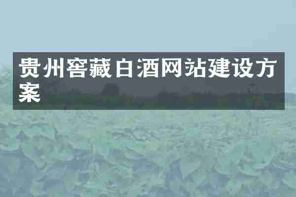 贵州窖藏白酒网站建设方案