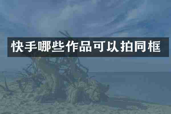快手哪些作品可以拍同框
