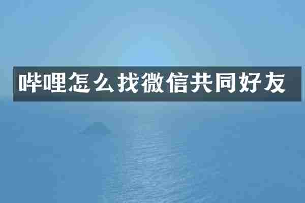 哔哩怎么找微信共同好友