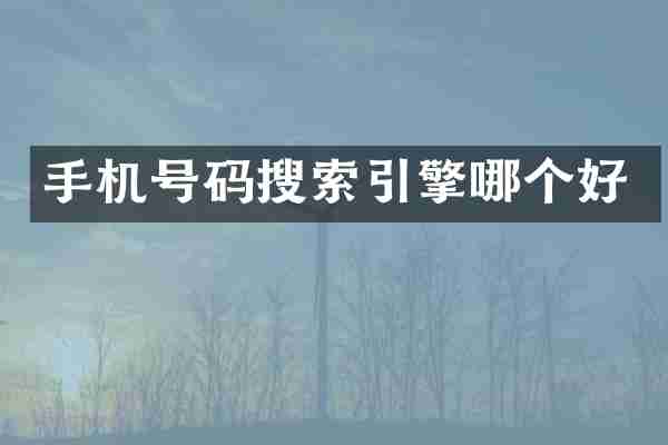 手机号码搜索引擎哪个好