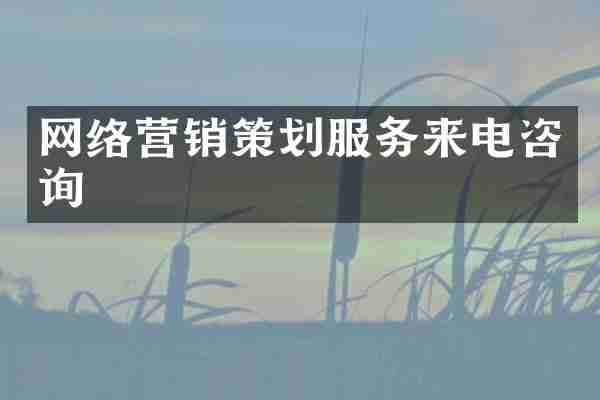 网络营销策划服务来电咨询