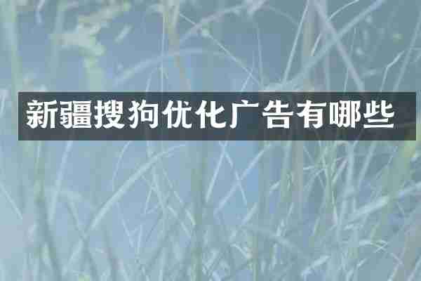 新疆搜狗优化广告有哪些