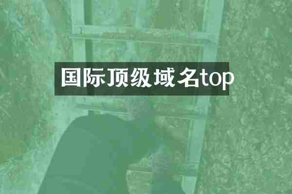 国际顶级域名top