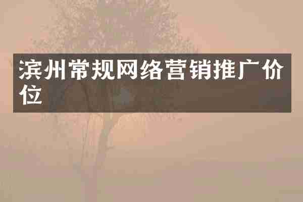 滨州常规网络营销推广价位