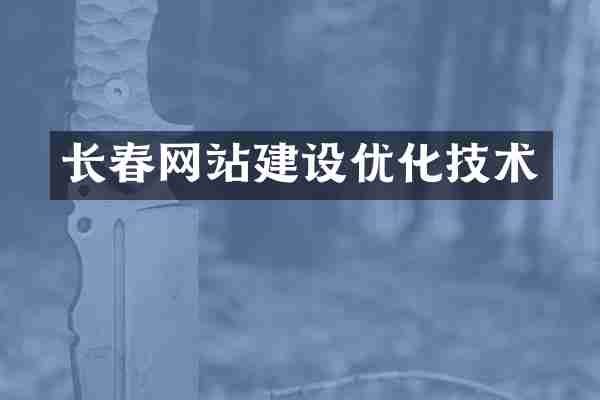 长春网站建设优化技术