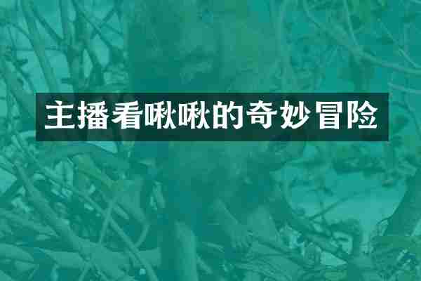 主播看啾啾的奇妙冒险