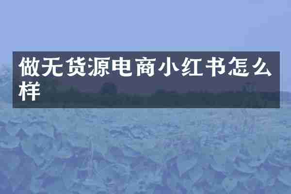 做无货源电商小红书怎么样