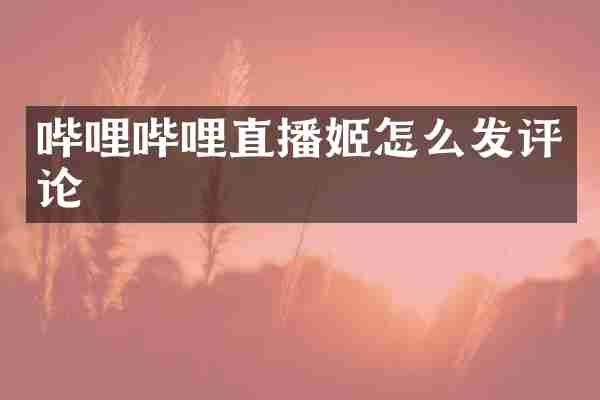 哔哩哔哩直播姬怎么发评论
