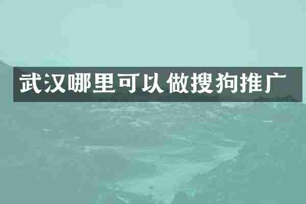 武汉哪里可以做搜狗推广