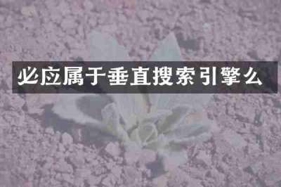 必应属于垂直搜索引擎么