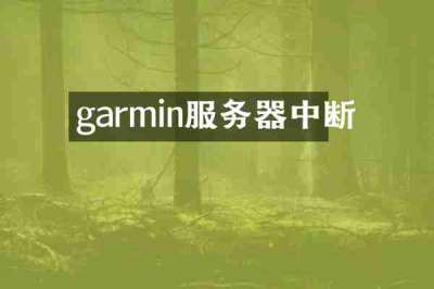 garmin服务器中断