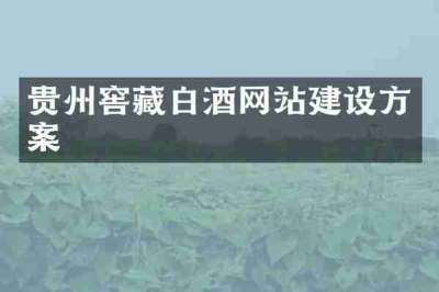 贵州窖藏白酒网站建设方案