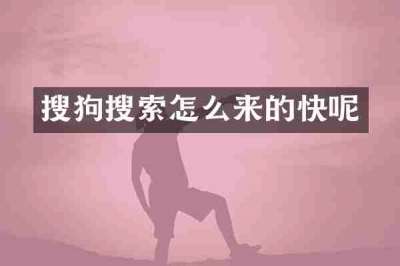 搜狗搜索怎么来的快呢