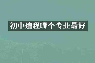 初中编程哪个专业最好