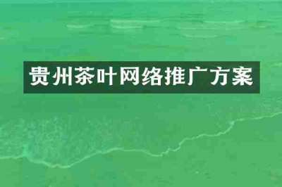 贵州茶叶网络推广方案