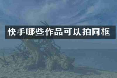 快手哪些作品可以拍同框