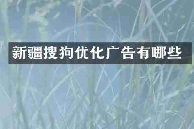新疆搜狗优化广告有哪些