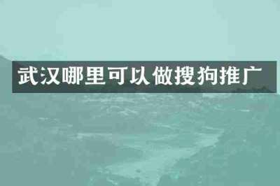 武汉哪里可以做搜狗推广