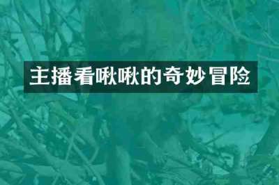 主播看啾啾的奇妙冒险