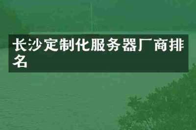 长沙定制化服务器厂商排名