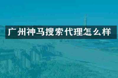 广州神马搜索代理怎么样