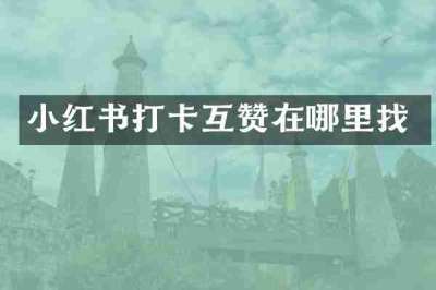 小红书打卡互赞在哪里找