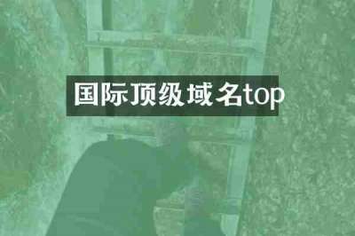 国际顶级域名top