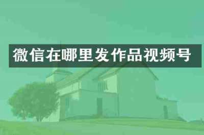 微信在哪里发作品视频号