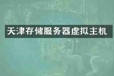 天津存储服务器虚拟主机