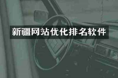 新疆网站优化排名软件