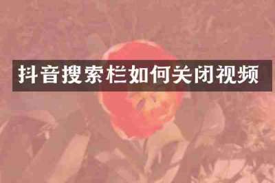 抖音搜索栏如何关闭视频