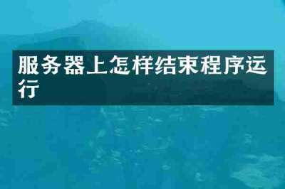服务器上怎样结束程序运行