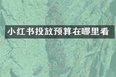 小红书投放预算在哪里看