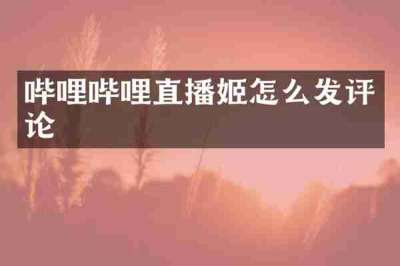 哔哩哔哩直播姬怎么发评论