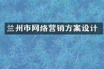 兰州市网络营销方案设计