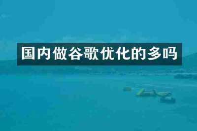 国内做谷歌优化的多吗