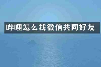 哔哩怎么找微信共同好友
