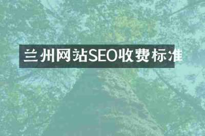兰州网站SEO收费标准