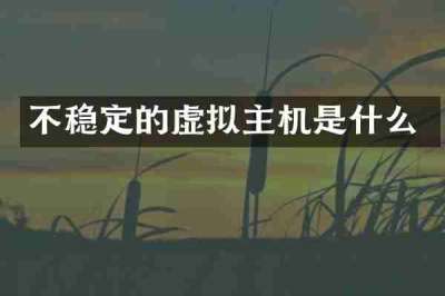 不稳定的虚拟主机是什么