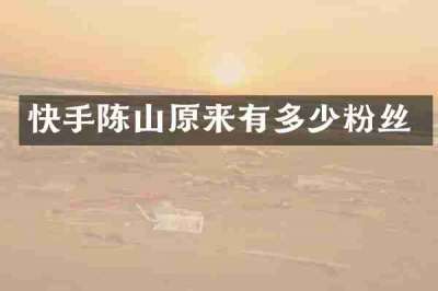 快手陈山原来有多少粉丝