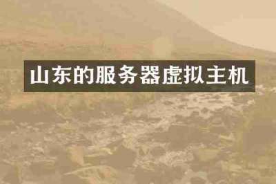 山东的服务器虚拟主机
